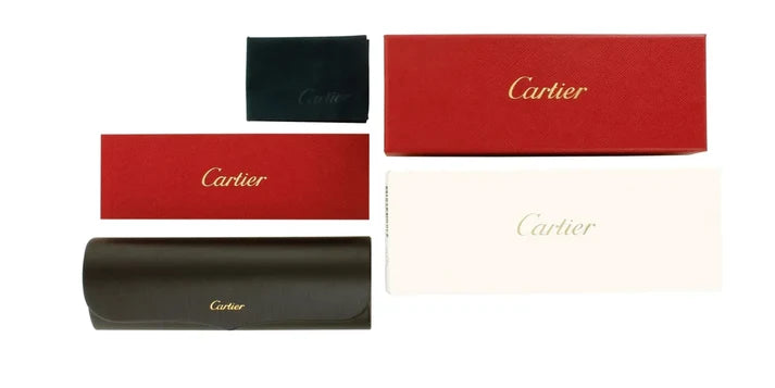 C A R T I E R Rimless Gradient Sunglasses –Greenish Grey Lens - MODEGAA